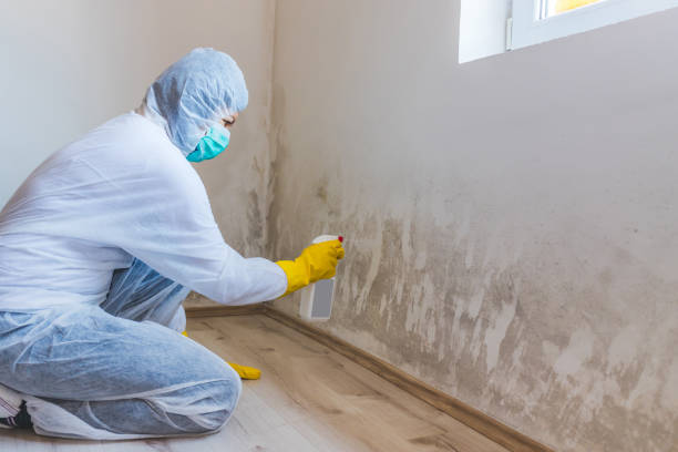 Licensed Mold Remediation service in Garland, TX - WQB Mold Removal