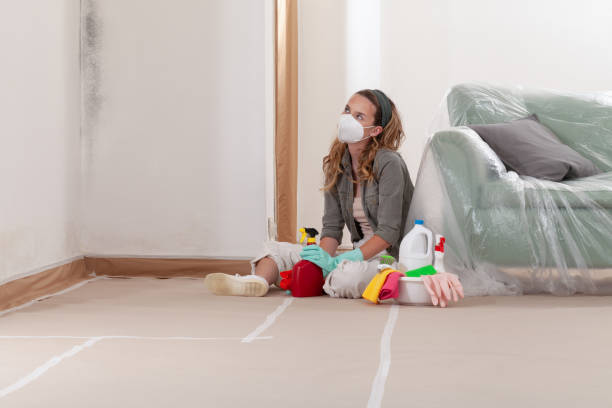 Reliable Mold Remediation contractor in Garland, TX by WQB Mold Removal
